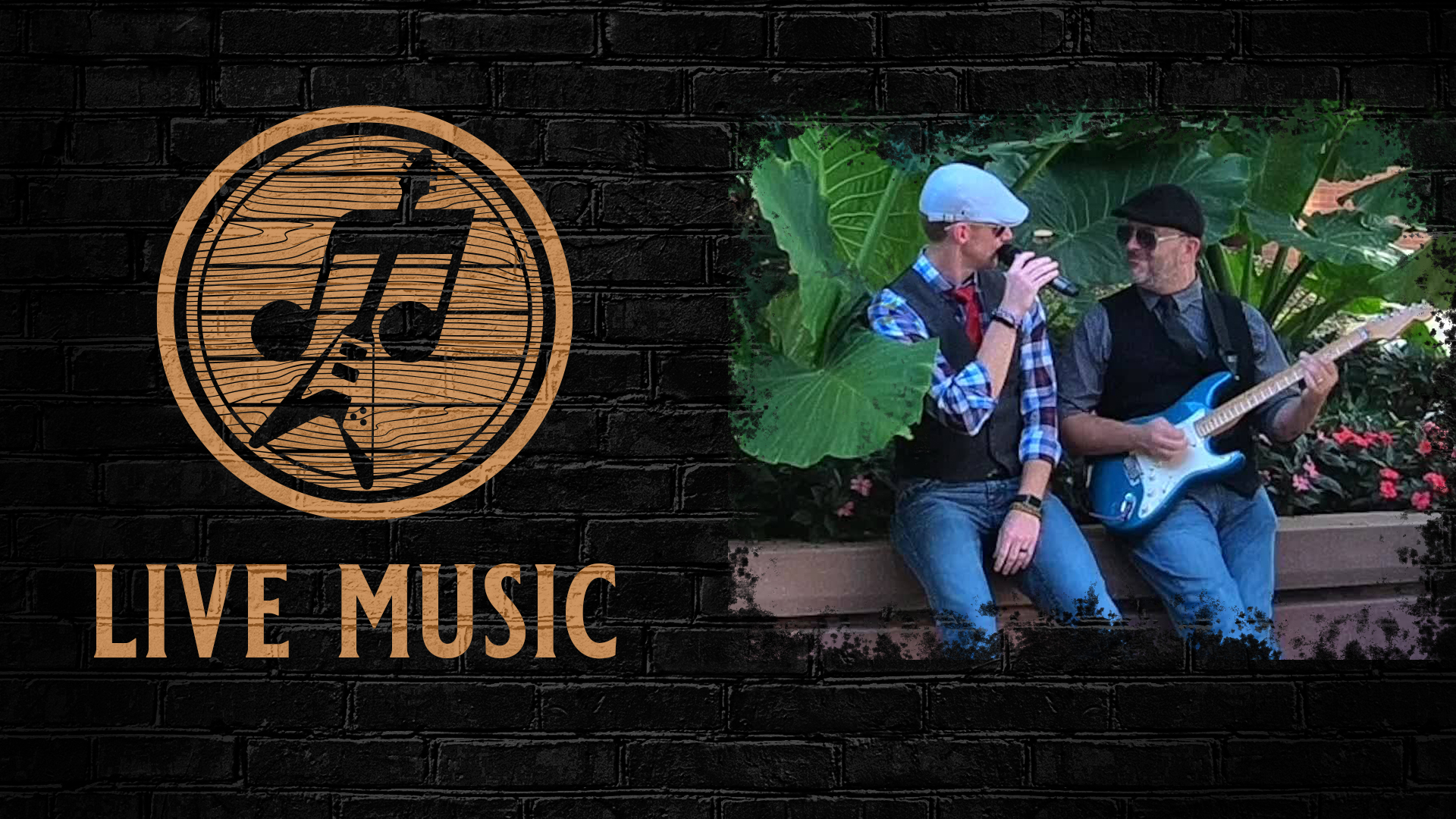 Live music from Musicology at Frankie Martin's Garden